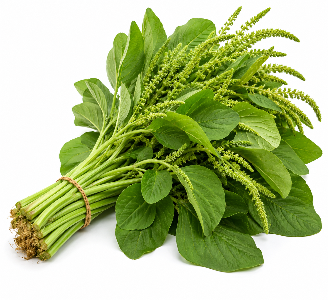 Amaranth