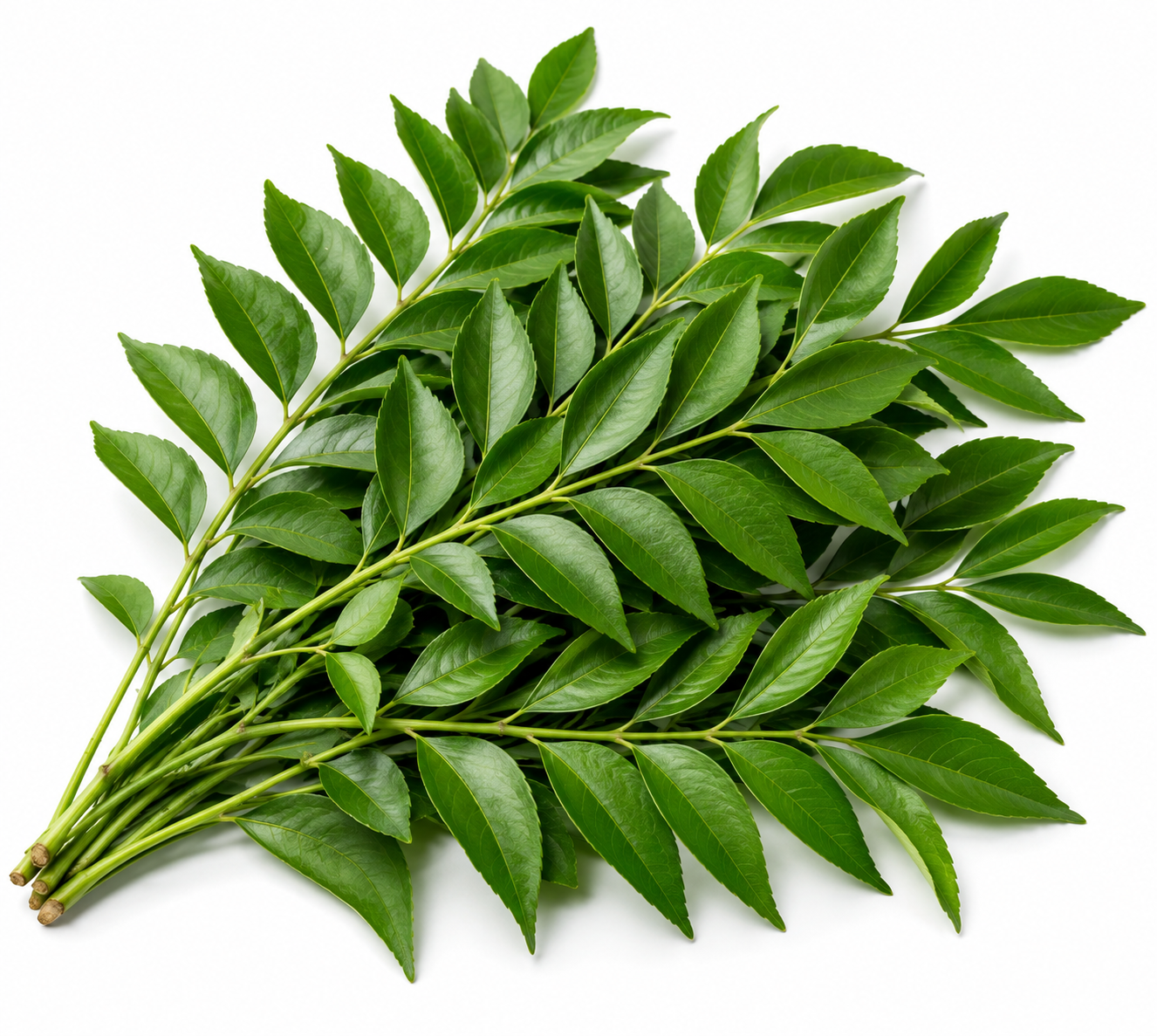 Curry Leaves