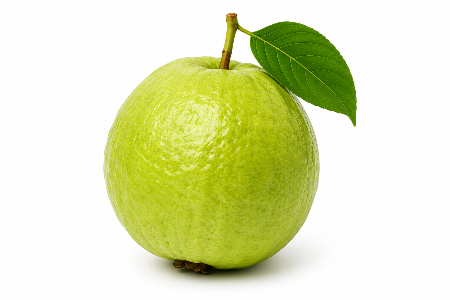 Guava